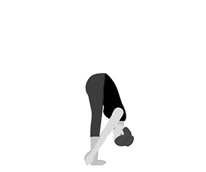 PADAHASTASANA
