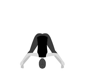 PRASARITA PADOTTANASANA