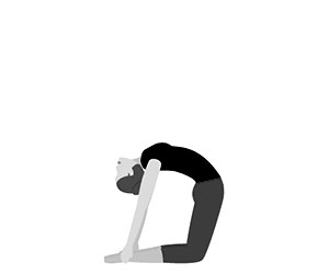 USTRASANA