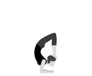 VRSCHIKASANA